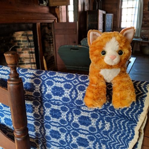 Cat plushie on a table