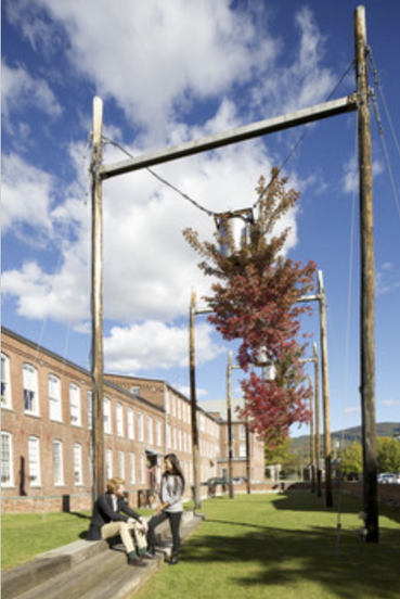 Outdoor view of hanging trees near the museum