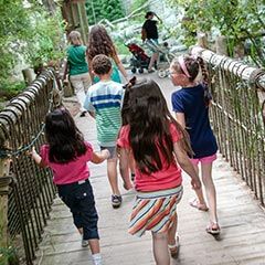 Children walking through a zoo exhibit